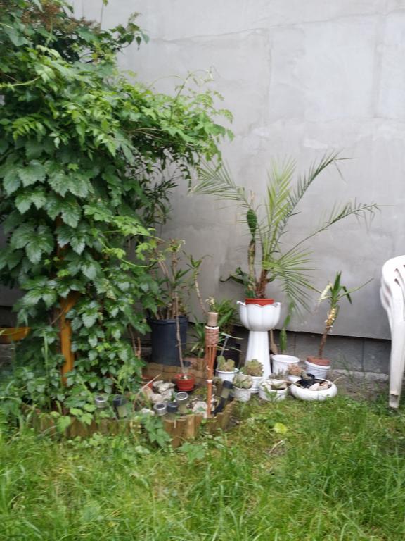 Boris Apartman Lägenhet Gyula Exteriör bild