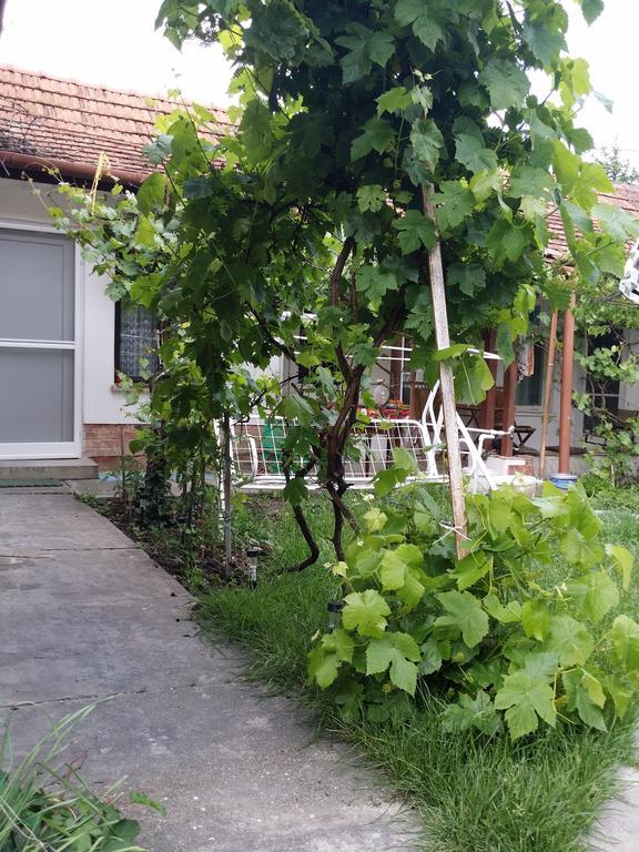 Boris Apartman Lägenhet Gyula Exteriör bild